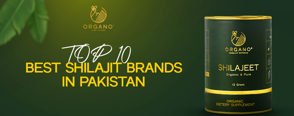 Top 10 Brst Shilajit Brands In Pakistan