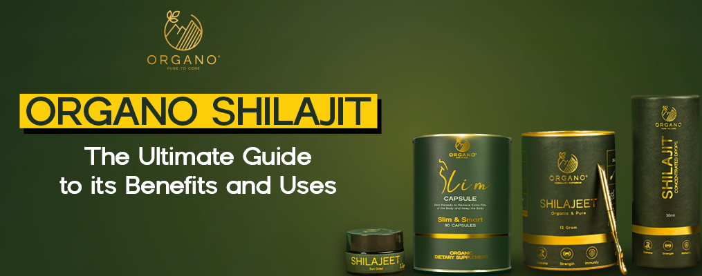 Shilajit Uses