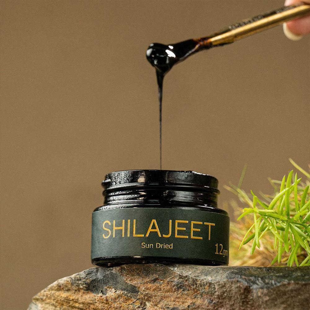 Organo Resin Shilajit Pack of 2