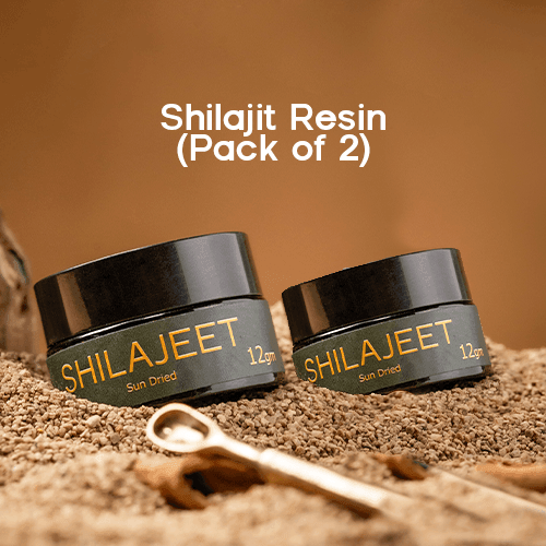 Organo Resin Shilajit Pack of 2